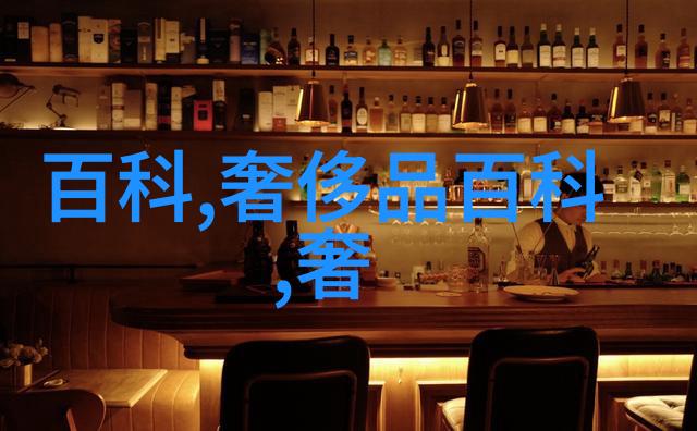 美丽海盗的冒险之旅