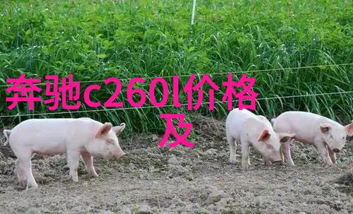 烫发艺术深入浅出美发烫发课程全解析
