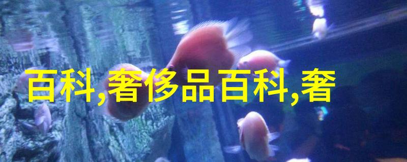 2022年最新发型时尚界的新潮流与美发艺术的创新探索