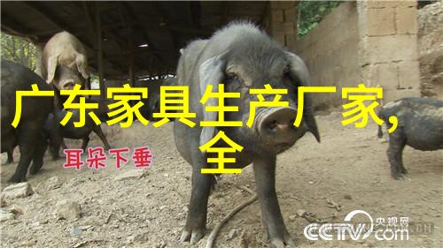 班长找了好几个人上我班级管理团队的集体责任与个体参与