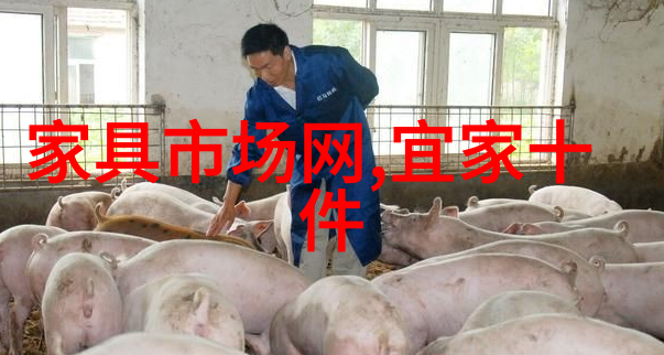 往昔岁月里的妆点与梳理旧网址美容记忆篇
