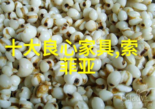 仙境的锁链