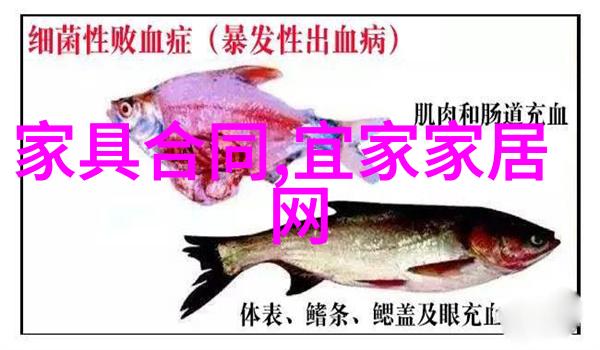 女性短发时尚趋势2022年最受欢迎的剪法与搭配技巧