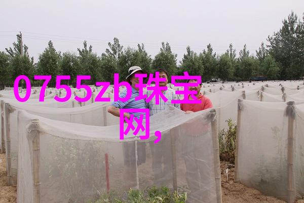 春日绽放小雏菊的香甜诱惑