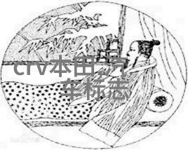 公共交通奇遇一晃一晃就进去的公交车视频意外上车的日常公交生活
