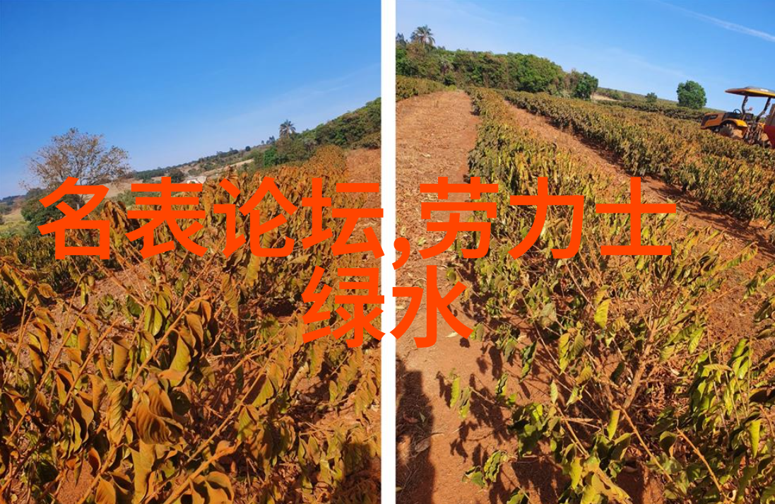 20毫米机炮火力支援的精准猎手