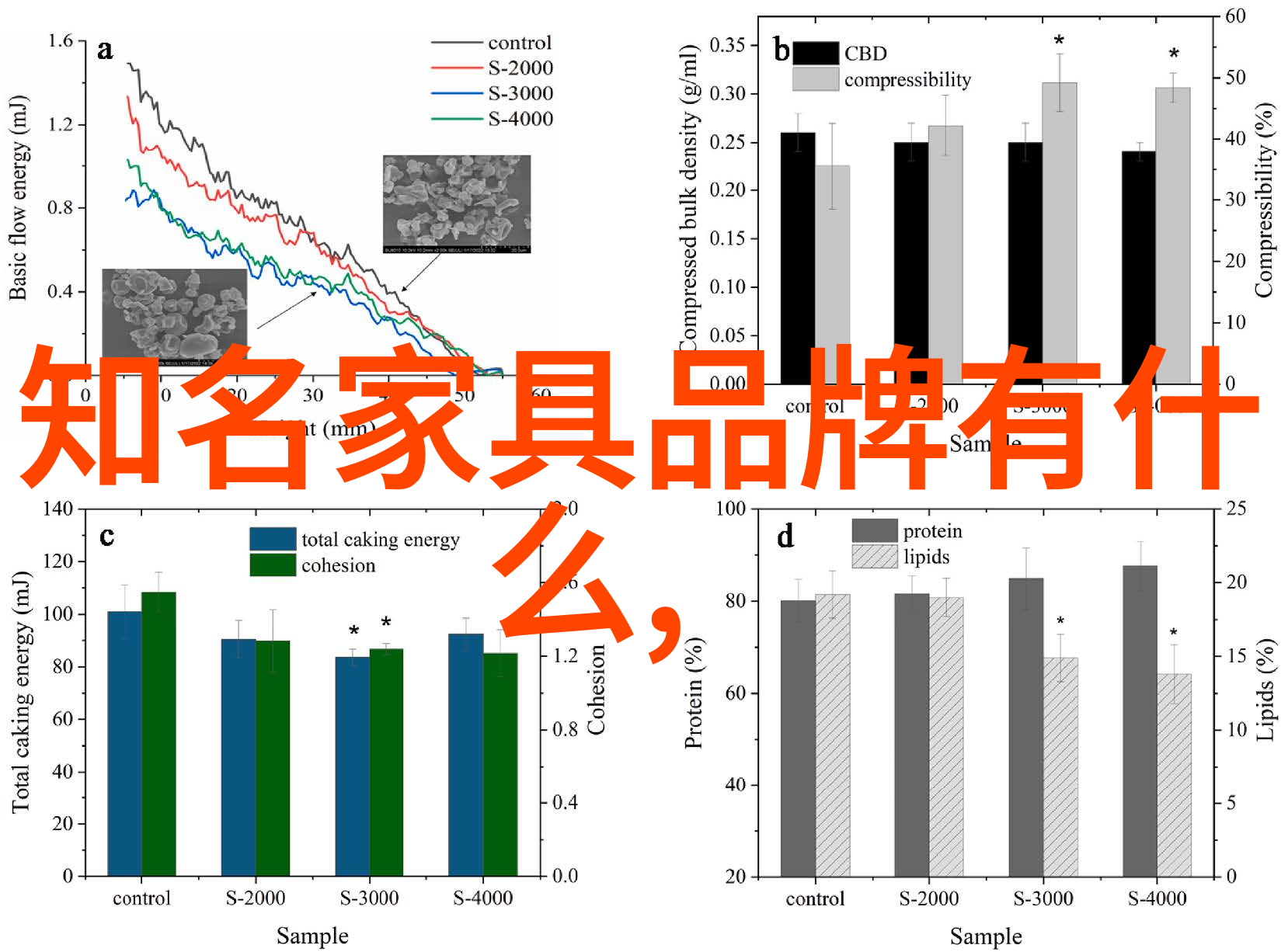 安全性能提升至新高度十代雅阀安全配置亮点介绍