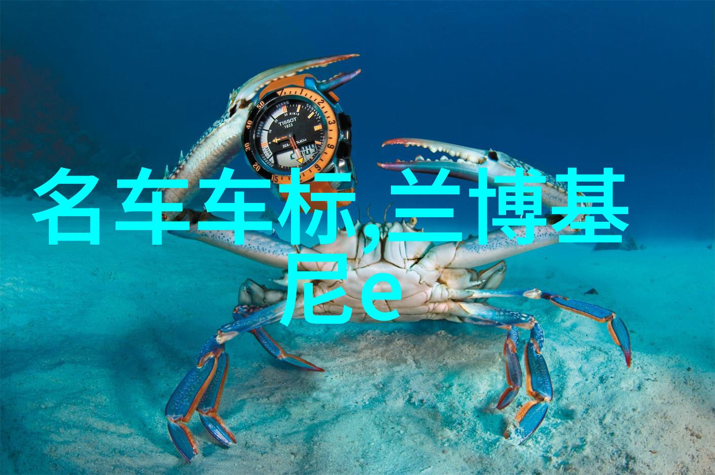 校车系列1早晨的轮廓与梦想的启程