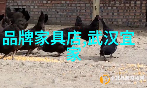 数字与比率探究1.61在数学物理学及工程中的应用