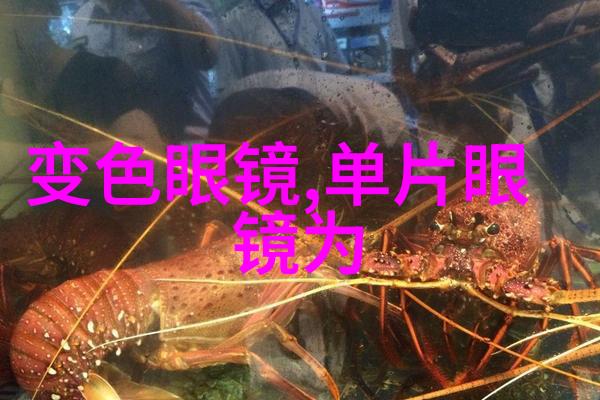 秒变明星光环如何通过发饰让你的2022年更有魅力