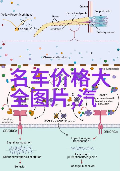 弃妃狐宠宫廷秘密与魔法契约狐狸耳朵的贵族遗孤