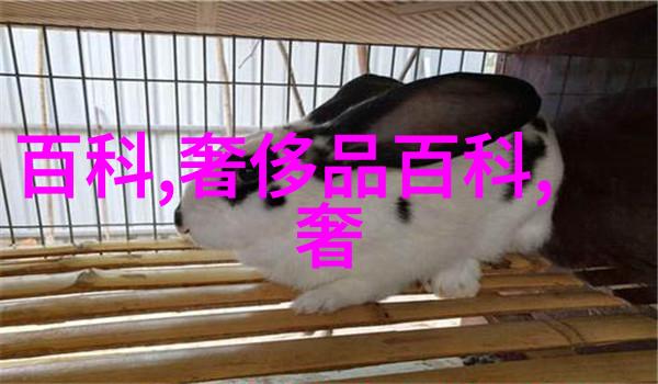 等我有自己的房子了我也要买这样的床垫舒适又时尚