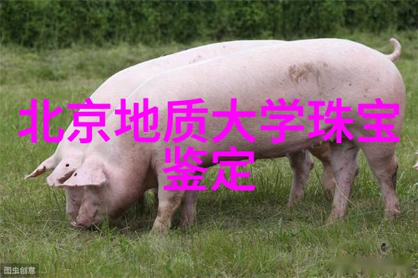 2021最新减龄发型时尚潮流下的青春回忆