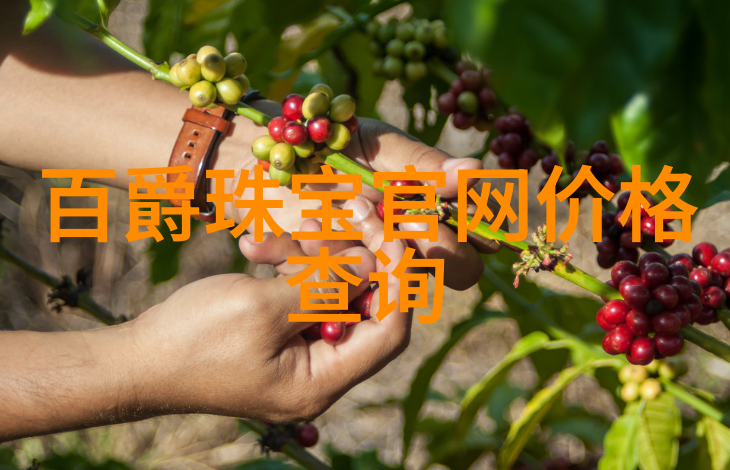 园林设计师我是如何把我的小花园变成美丽避风港的