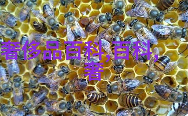 古董劳力士的特征学习了就别再去黑市买假表了