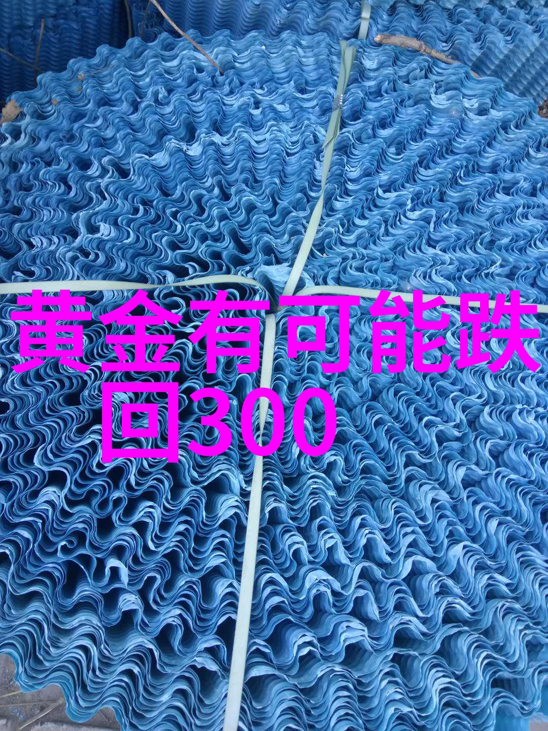 姗姗来迟txt追逐梦想的落后之旅