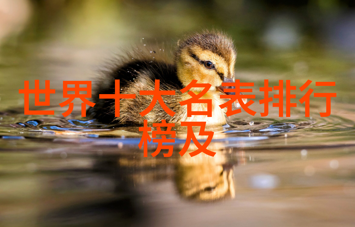 美特家社会共融空间厨房里织就幸福与美味的故事