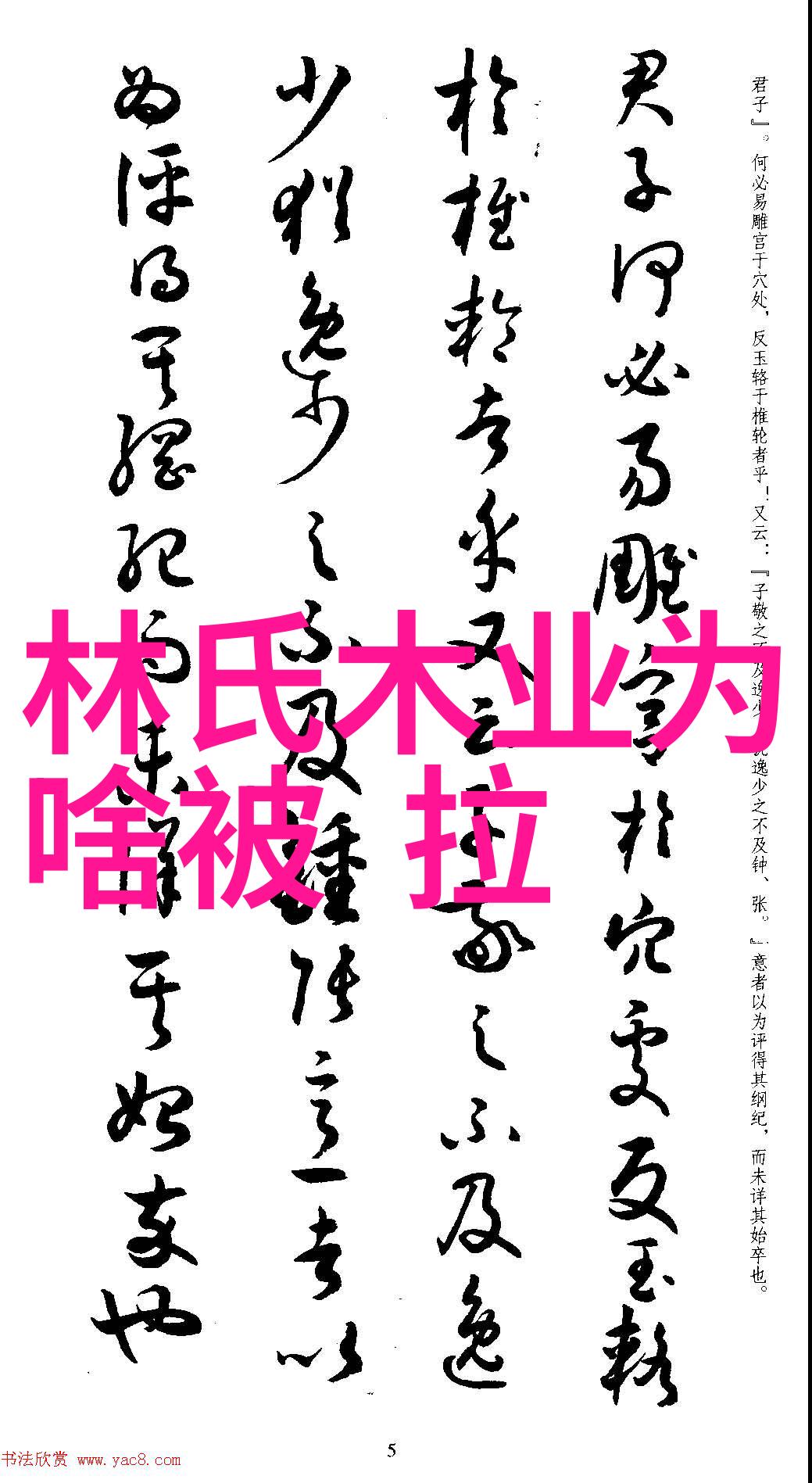 炸鸡的文化演变与烹饪艺术探究从传统食用到现代流行的跨世纪旅程