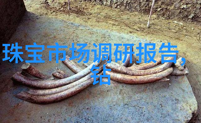 一朵花多姿多肉滋养一辆车师徒同行探索生命之美
