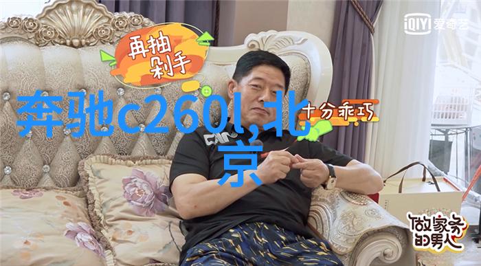 寂灭天骄火焰与冰霜的终章世界顶级战队的衰落