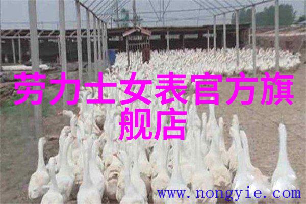 瑰夏(1V2)我和她在热浪中的小确幸