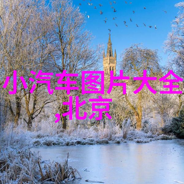 中老年理发教学视频传承技艺与创新相结合