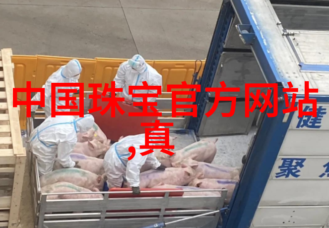 重案组成龙城市的铁血守护者