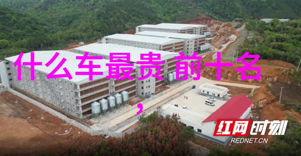 两款异域浪漫风情编发秘籍揭秘如何一夜成为美发高手