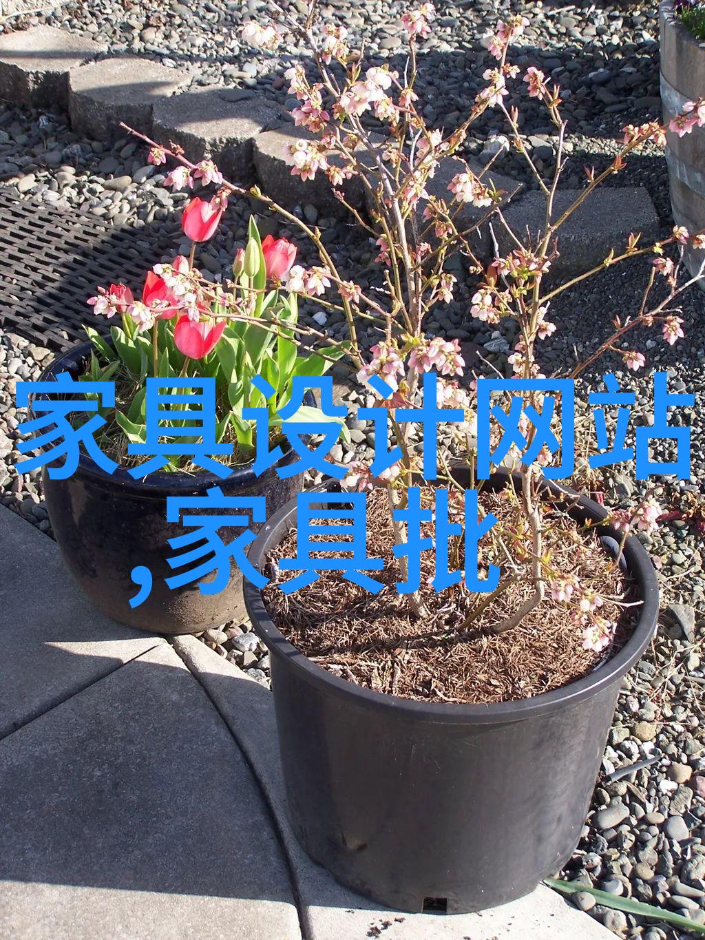 眼镜网上商城哪个好realme品牌MV新机升降摄像头疑似提前曝光引人关注