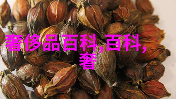 夏日时尚指南男士夏装搭配大师