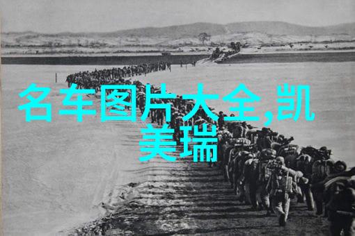 排球少年之青春激荡与梦想追逐