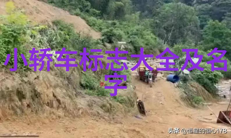 四房播播的新篇章探索当代住房市场的变革与挑战
