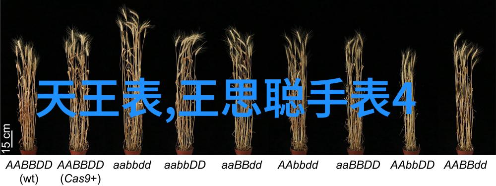 推子剪发艺术创造完美形状的男士头皮设计