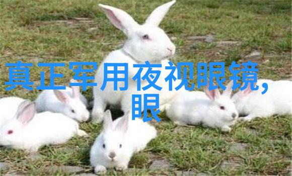 秀发艺术揭秘脸型与发型的完美对话