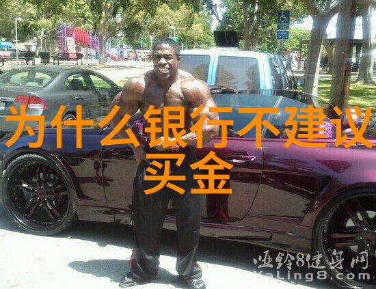 赛力斯传说超自然的存在探索