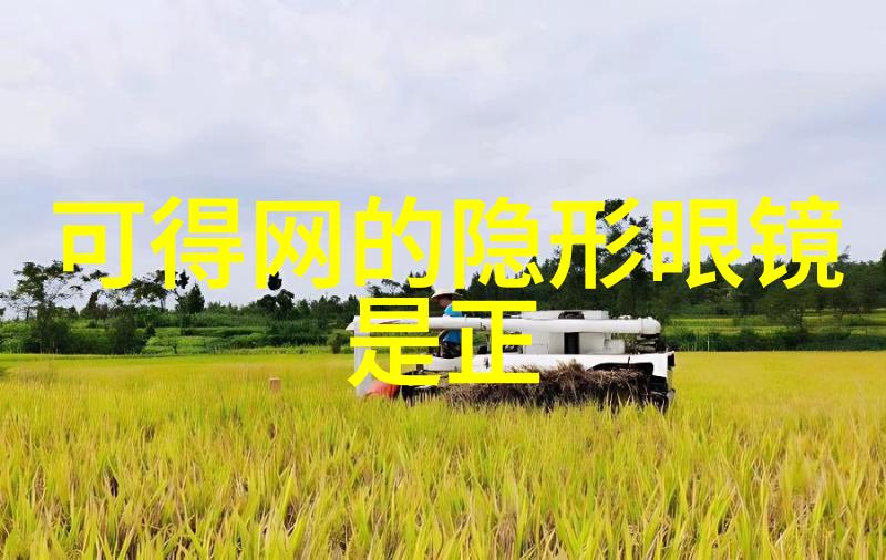 芙蓉之谜揭开电视剧中的古风秘密