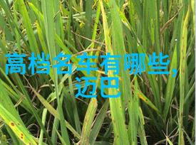社会保险基金管理办法修订案正式生效旨在优化服务体系