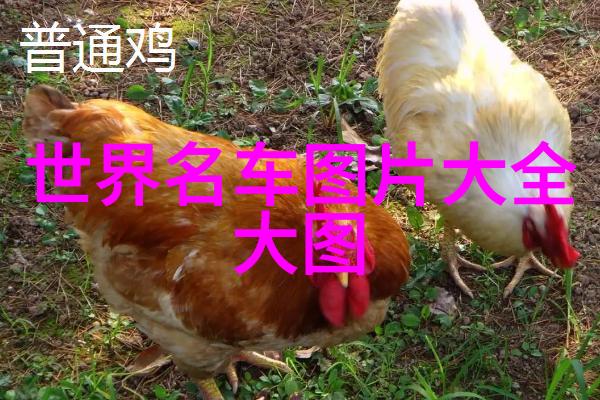 从背叛到归途一千种渣男改造的姿态