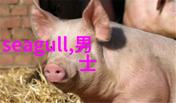 前妻是如何成为张艺谋作品中灵感来源的一部分