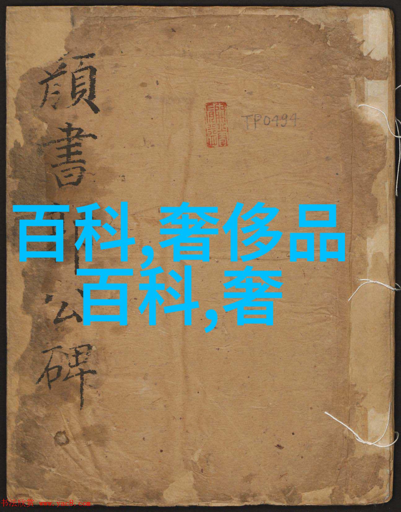 娱乐圈新星这五个人真火了