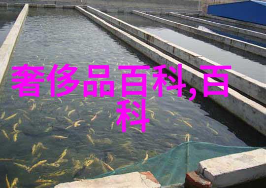 穿着正式装束时哪只手应该佩戴高级腕表