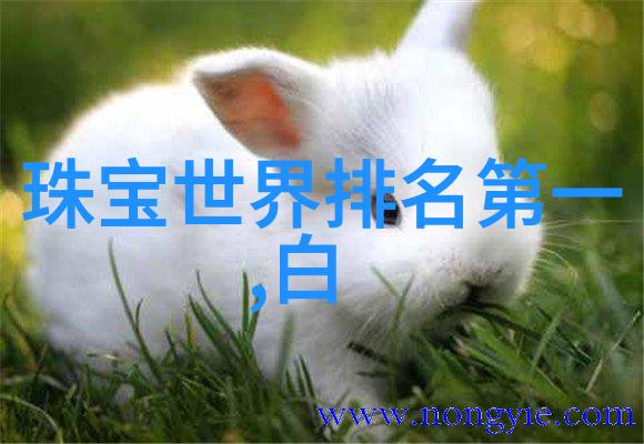 家里有宠物狗就一定脏乱差吗教你几招既让家干净又让狗很舒坦