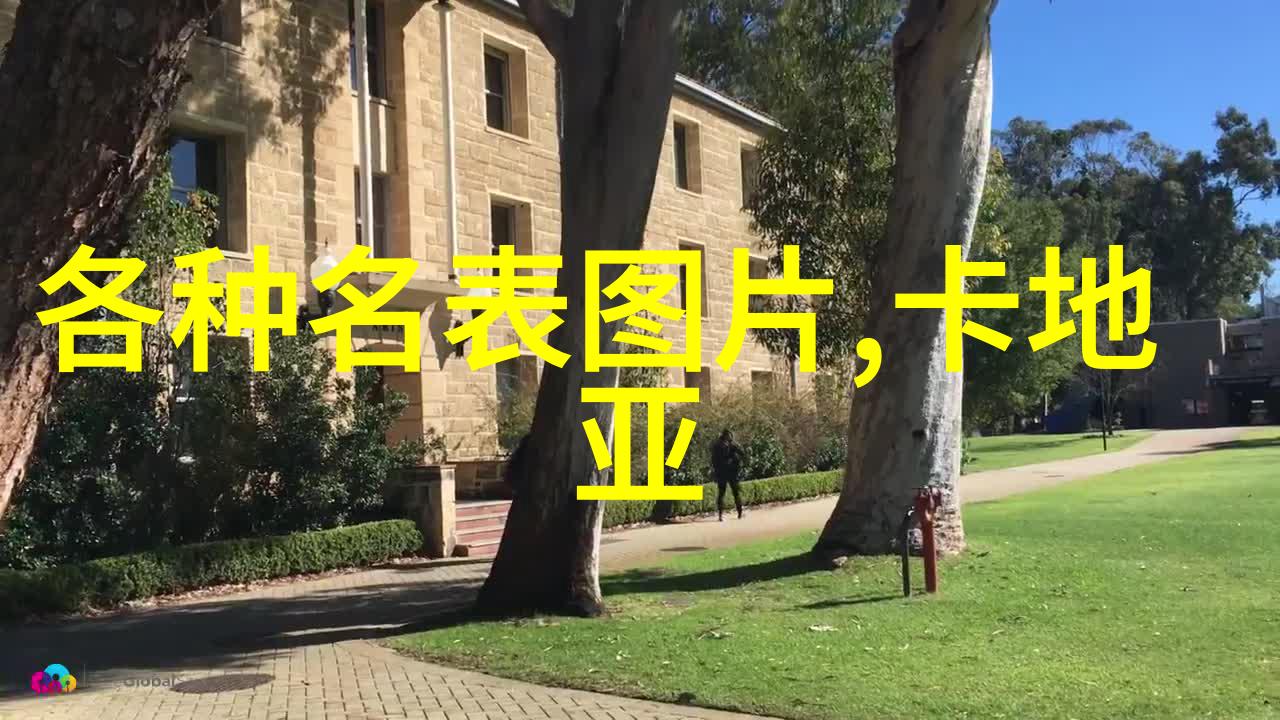 光阴交错笔趣阁里的时间游戏