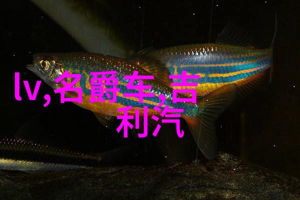 中年人学理发技巧快速掌握理发艺术