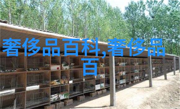 剪刀手的秘密10元快剪培训班的奇迹之旅