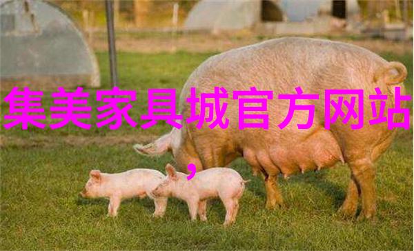 宝宝们在办公室的活力健身办公室宝宝们的健康运动