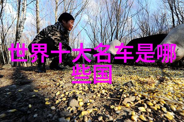 家居生活馆静谧的角落与光影交响