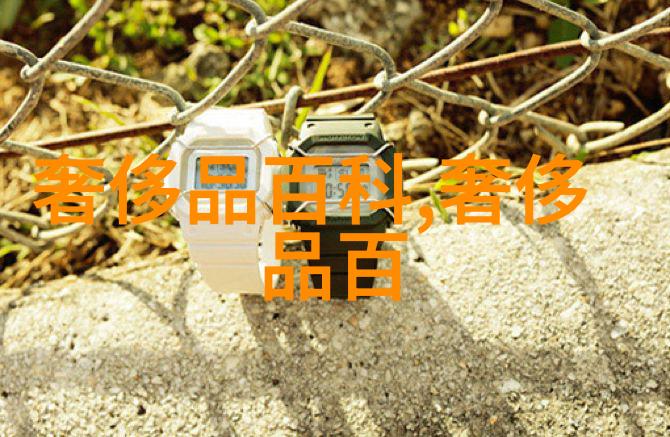 4399造梦西游3挂探秘游戏中的挑战与策略