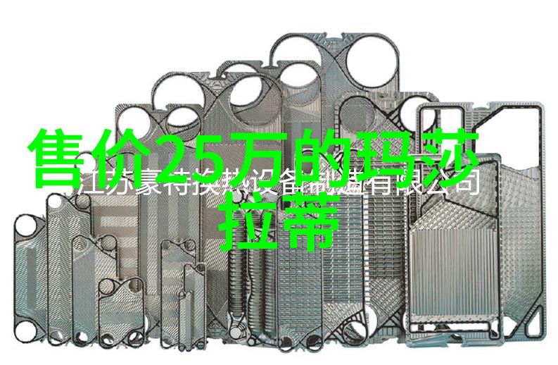 重生之最佳再婚爱情与选择的交错篇章
