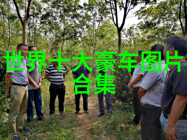 从零到英雄的美发学习路线图
